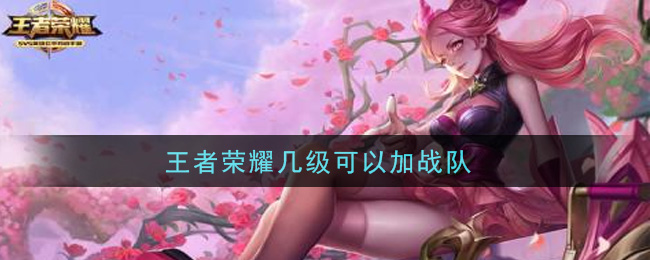 王者榮耀幾級(jí)可以加戰(zhàn)隊(duì)