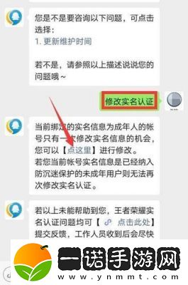 2024年王者榮耀實名認證更新指南