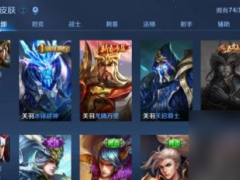 怎么看王者皮膚獲取記錄