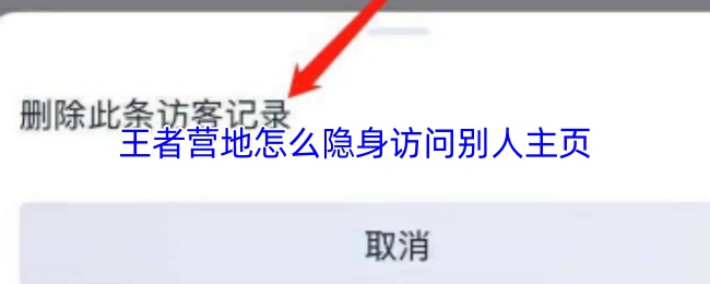 王者營地怎么隱身訪問別人主頁